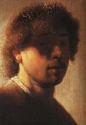 A young Rembrandt REMBRANDT Harmenszoon van Rijn